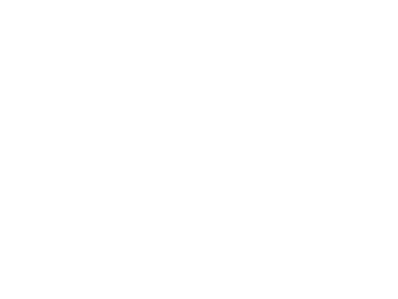 Wingchun_rules_no_bg